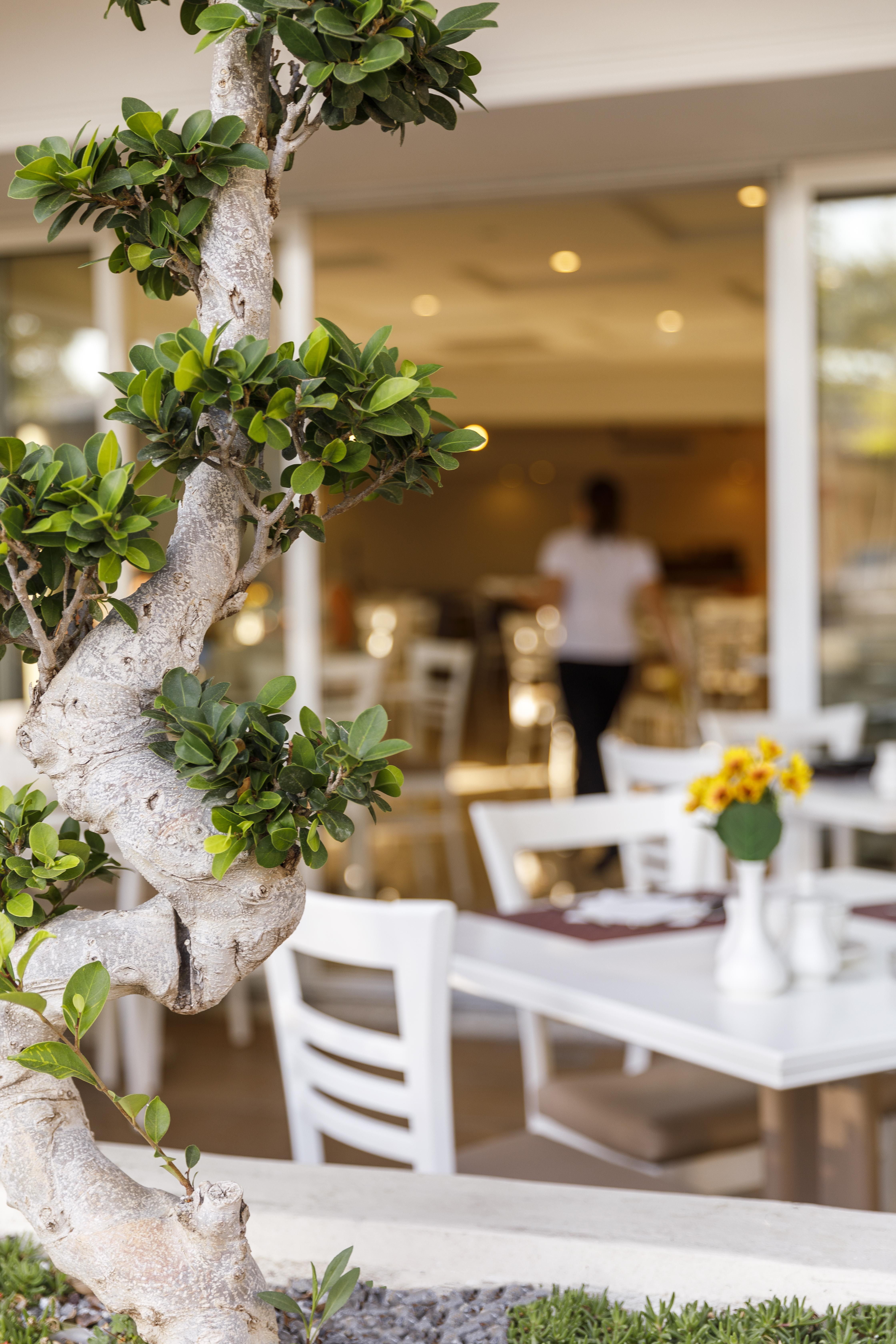 Best Western Plus Hotel Plaza Rhodes City Екстериор снимка